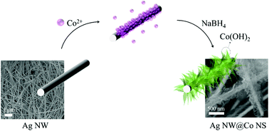 Graphical abstract: Ultrathin amorphous α-Co(OH)2 nanosheets grown on Ag nanowire surfaces as a highly active and durable electrocatalyst for oxygen evolution reaction