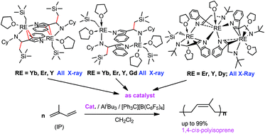 Graphical abstract: Di and trinuclear rare-earth metal complexes supported by 3-amido appended indolyl ligands: synthesis, characterization and catalytic activity towards isoprene 1,4-cis polymerization