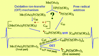 Graphical abstract: A mechanistic study of manganese(iii) acetate-mediated phosphonyl group additions to [60]- and [70]-fullerenes: the oxidative-ion-transfer mechanism vs. free radical addition