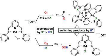 Graphical abstract: Oxygenation of a benzyl ligand in SNS-palladium complexes with O2: acceleration by anions or Brønsted acids
