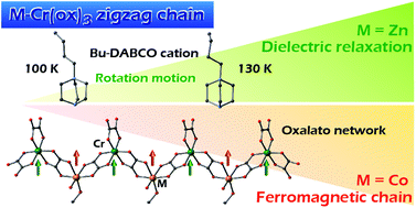Graphical abstract: Oxalate-bridged heterometallic chains with monocationic dabco derivatives