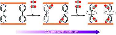 Graphical abstract: CO2 adsorption-induced structural changes in coordination polymer ligands elucidated via molecular simulations and experiments