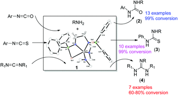 Graphical abstract: Hydroamination of carbodiimides, isocyanates, and isothiocyanates by a bis(phosphinoselenoic amide) supported titanium(iv) complex