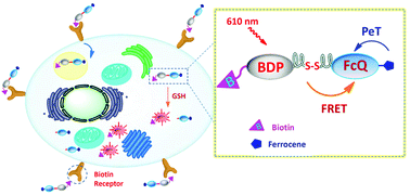 Graphical abstract: A biotin-conjugated glutathione-responsive FRET-based fluorescent probe with a ferrocenyl BODIPY as the dark quencher