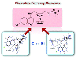 Graphical abstract: Bioisosteric ferrocenyl-containing quinolines with antiplasmodial and antitrichomonal properties
