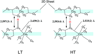 Graphical abstract: Deuterium substitution effects on the structural and magnetic phase transitions of a hydrogen-bonded coordination polymer, bis(glycolato)copper(ii)