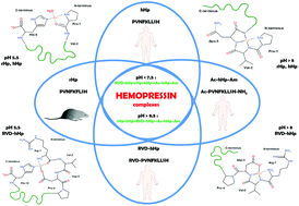 Graphical abstract: DOES hemopressin bind metal ions in vivo?