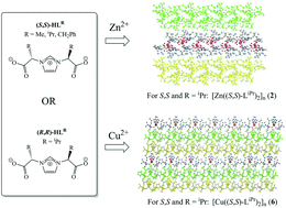 Graphical abstract: Synthesis and structural characterization of homochiral 2D coordination polymers of zinc and copper with conformationally flexible ditopic imidazolium-based dicarboxylate ligands