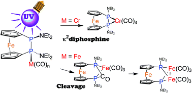 Graphical abstract: Synthesis and coordination chemistry of (PNEt2)2-bridged [2]ferrocenophanes