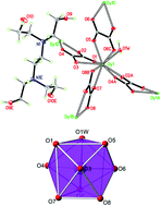 Graphical abstract: 3D oxalato-bridged lanthanide(iii) MOFs with magnetocaloric, magnetic and photoluminescence properties