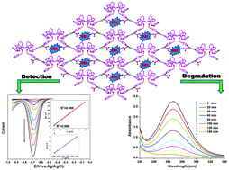 Graphical abstract: A novel Ag(i)-calix[4]arene coordination polymer for the sensitive detection and efficient photodegradation of nitrobenzene in aqueous solution