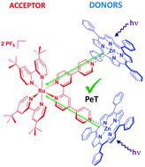 Graphical abstract: Photoinduced electron transfer in supramolecular ruthenium–porphyrin assemblies