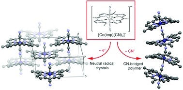 Graphical abstract: Structural and transport properties of neutral radical crystals of CoIII(tmp)(CN)2 (tmp = 5,10,15,20-tetramethylporphyrinato) and the CN-bridged polymer [CoIII(tmp)(CN)]n