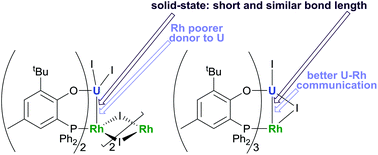 Graphical abstract: Uranium rhodium bonding in heterometallic complexes