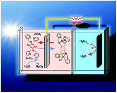 Graphical abstract: Synthesis of new photosensitive H2BBQ2+[ZnCl4]2−/[(ZnCl)2(μ-BBH)] complexes, through selective oxidation of H2O to H2O2