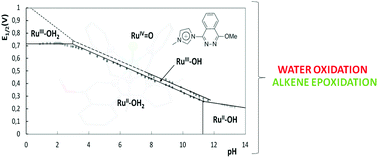 Graphical abstract: Mononuclear ruthenium compounds bearing N-donor and N-heterocyclic carbene ligands: structure and oxidative catalysis