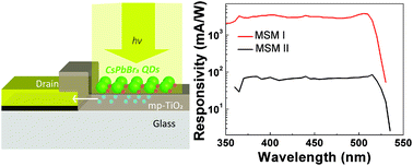 Graphical abstract: All-inorganic perovskite quantum dot/mesoporous TiO2 composite-based photodetectors with enhanced performance
