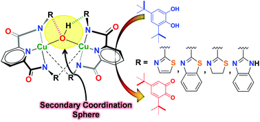 Graphical abstract: Hydroxide-bridged dicopper complexes: the influence of secondary coordination sphere on structure and catecholase activity
