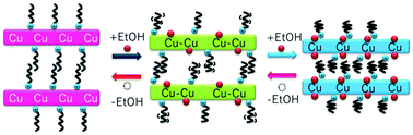 Graphical abstract: Structural transformations of layered structures constructed from Cu(ii)–chloranilate monomer compounds