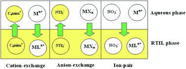 Graphical abstract: Actinide ion extraction using room temperature ionic liquids: opportunities and challenges for nuclear fuel cycle applications