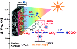 Graphical abstract: A CO2 adsorption-enhanced semiconductor/metal-complex hybrid photoelectrocatalytic interface for efficient formate production