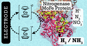 Graphical abstract: Nitrogenase bioelectrocatalysis: heterogeneous ammonia and hydrogen production by MoFe protein