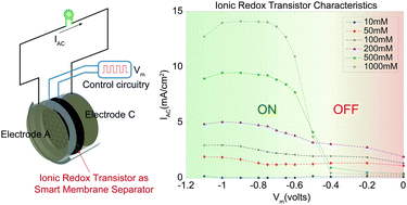 Graphical abstract: Ionic redox transistor from pore-spanning PPy(DBS) membranes