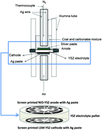 Graphical abstract: Role of coal characteristics in the electrochemical behaviour of hybrid direct carbon fuel cells