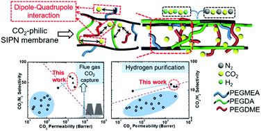 Graphical abstract: Pushing CO2-philic membrane performance to the limit by designing semi-interpenetrating networks (SIPN) for sustainable CO2 separations