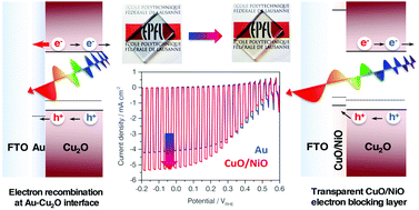 Graphical abstract: A copper nickel mixed oxide hole selective layer for Au-free transparent cuprous oxide photocathodes