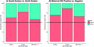 Graphical abstract: Prenatal exposures and DNA methylation in newborns: a pilot study in Durban, South Africa