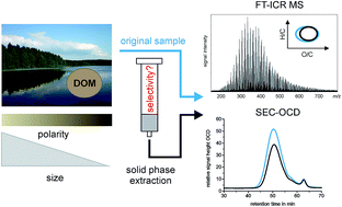 Graphical abstract: Selectivity of solid phase extraction of freshwater dissolved organic matter and its effect on ultrahigh resolution mass spectra
