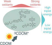 Graphical abstract: Triplet state dissolved organic matter in aquatic photochemistry: reaction mechanisms, substrate scope, and photophysical properties
