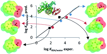 Graphical abstract: 3D-QSAR predictions for bovine serum albumin–water partition coefficients of organic anions using quantum mechanically based descriptors