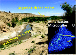 Graphical abstract: Uranium mobility and accumulation along the Rio Paguate, Jackpile Mine in Laguna Pueblo, NM