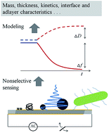 Graphical abstract: Probing the interactions of organic molecules, nanomaterials, and microbes with solid surfaces using quartz crystal microbalances: methodology, advantages, and limitations