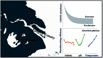 Graphical abstract: Photobleaching of chromophoric dissolved organic matter (CDOM) in the Yangtze River estuary: kinetics and effects of temperature, pH, and salinity