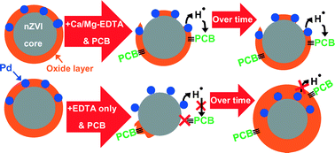 Graphical abstract: Mechanistic and kinetic insights into the ligand-promoted depassivation of bimetallic zero-valent iron nanoparticles