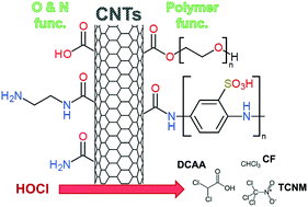 Graphical abstract: Formation of trihalomethanes and haloacetic acids during chlorination of functionalized carbon nanotubes