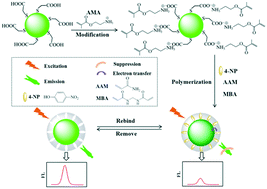 Graphical abstract: One-pot synthesis of a quantum dot-based molecular imprinting nanosensor for highly selective and sensitive fluorescence detection of 4-nitrophenol in environmental waters