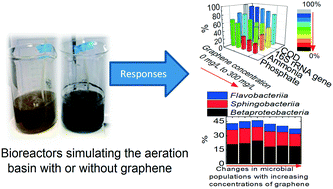 Graphical abstract: Acute toxicity of graphene nanoplatelets on biological wastewater treatment process