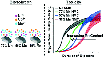 Graphical abstract: Influence of nickel manganese cobalt oxide nanoparticle composition on toxicity toward Shewanella oneidensis MR-1: redesigning for reduced biological impact
