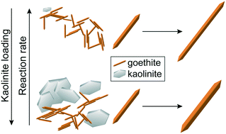 Graphical abstract: Effect of nonreactive kaolinite on 4-chloronitrobenzene reduction by Fe(ii) in goethite–kaolinite heterogeneous suspensions