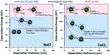 Graphical abstract: Stability of carboxyl-functionalized carbon black nanoparticles: the role of solution chemistry and humic acid