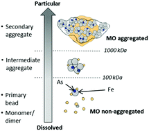 Graphical abstract: Characterization of iron–organic matter nano-aggregate networks through a combination of SAXS/SANS and XAS analyses: impact on As binding
