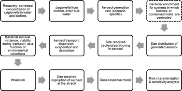 Graphical abstract: Critical review of mathematical approaches for quantitative microbial risk assessment (QMRA) of Legionella in engineered water systems: research gaps and a new framework