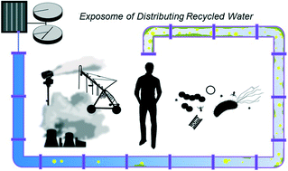 Graphical abstract: A human exposome framework for guiding risk management and holistic assessment of recycled water quality