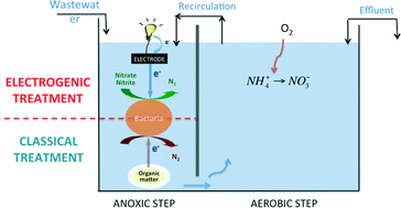Graphical abstract: Integrating a microbial electrochemical system into a classical wastewater treatment configuration for removing nitrogen from low COD effluents