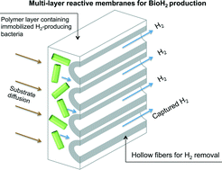 Graphical abstract: Performance of a composite bioactive membrane for H2 production and capture from high strength wastewater