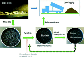 Graphical abstract: Triclosan adsorption using wastewater biosolids-derived biochar